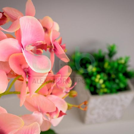 The Floral Suite Александруполис Екстериор снимка