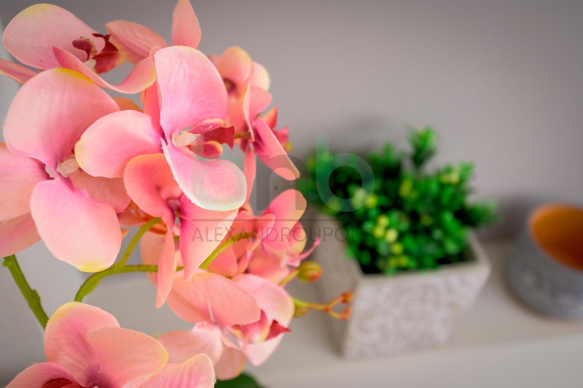 The Floral Suite Александруполис Екстериор снимка