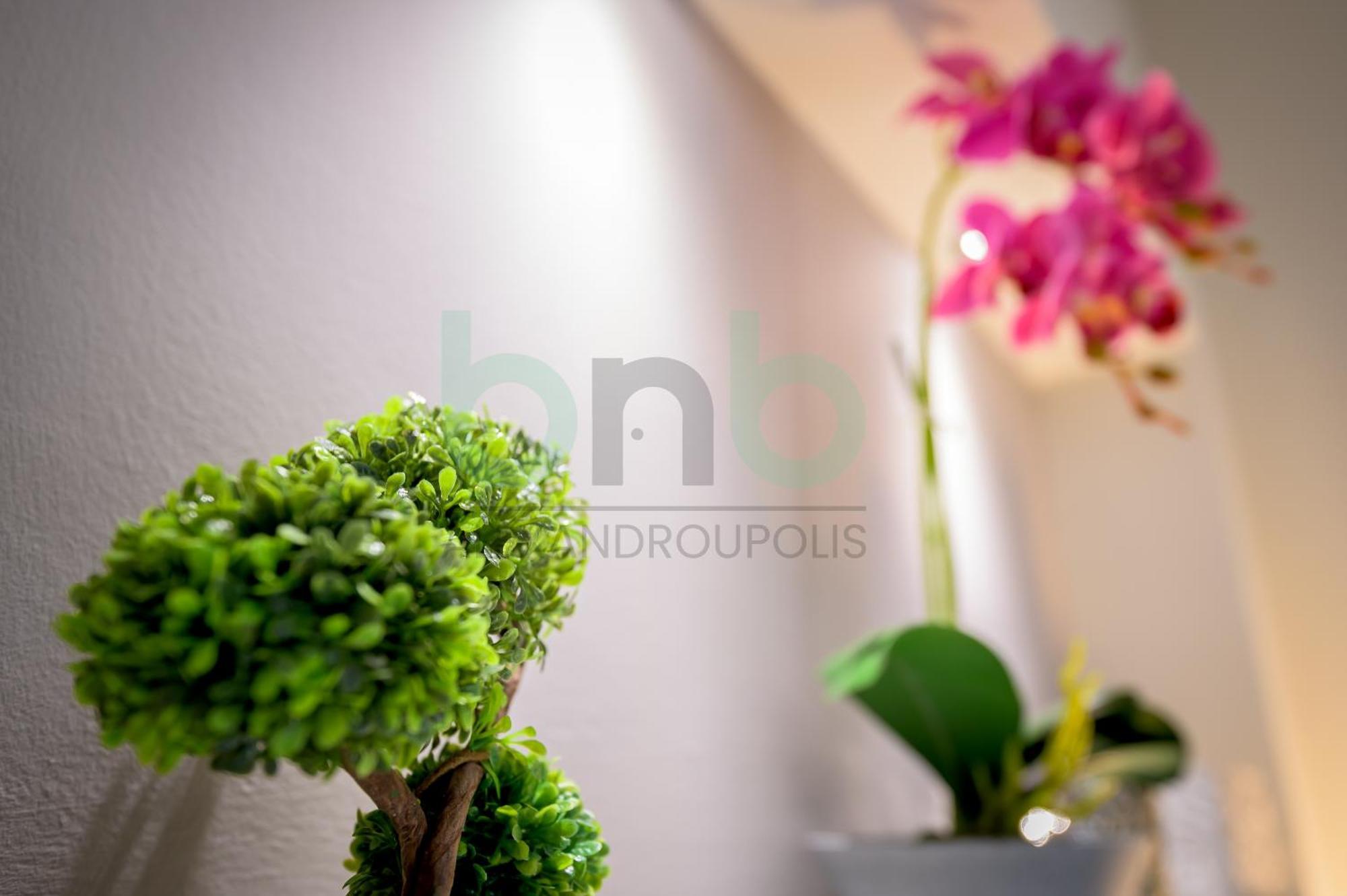 The Floral Suite Александруполис Екстериор снимка